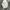 BOY London Streetwear Luxury Hat Pria white pink photo 5