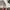 BOY London Streetwear Luxury Hat Pria white pink photo 6