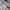 Umbro Sportswear Casual Sweatpants & Joggers Pria gray photo 5