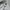 Umbro Sportswear Casual Sweatpants & Joggers Pria gray photo 4