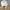 Streetwear Gorpcore Parka Pria tan khaki photo 7