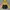 Adidas Gorpcore Casual Windbreaker Pria navy yellow photo 3
