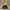 Adidas Gorpcore Casual Windbreaker Pria navy yellow photo 2