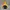 Adidas Gorpcore Casual Windbreaker Pria navy yellow photo 1