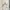 Executive Casual Casual dress Wanita white photo 1