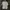 Covernat Streetwear Casual T-shirt Pria white photo 1