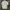 Covernat Streetwear Casual T-shirt Pria white photo 4