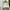 Goth Emo Bodycon dress Wanita white black photo 2