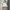 Goth Emo Bodycon dress Wanita white black photo 1