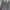 Jeep Y2K Mini skirt Wanita navy black photo 2
