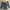 Jeep Y2K Mini Skirt Wanita Navy Black