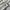 Eddie Bauer Streetwear Casual Polo shirt Pria gray cream photo 5