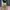 Y2K Grunge Casual pants Pria green khaki photo 2
