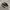 VANS Casual Sneakers Pria white black photo 4