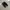 VANS Casual Sneakers Pria white black photo 2