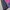 K2 Gorpcore Sportswear Windbreaker Wanita burgundy photo 3