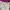 K2 Gorpcore Sportswear Windbreaker Wanita burgundy photo 5