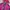 K2 Gorpcore Sportswear Windbreaker Wanita burgundy photo 2