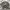 Japanese brand Casual Casual shirt Pria gray photo 1