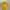 Casual T-shirt Wanita yellow photo 1