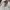 Streetwear Casual Formal shirt Pria white photo 2