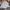 Streetwear Casual Formal shirt Pria white photo 1