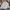Streetwear Casual Formal Shirt Pria White