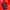 Track jacket Pria red photo 5