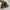 Adidas Streetwear Casual Casual shoe Pria navy photo 5