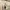 Old Navy Y2K Skater Formal shirt Pria cream yellow photo 2