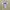 Old Navy Y2K Skater Formal shirt Pria cream yellow photo 4
