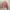 Minimalist Casual Sweater Wanita pink photo 1