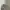 Casual Hoody Pria white photo 2