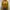 Executive Casual Cardigan Wanita yellow photo 1