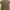 Nike Casual T-shirt Pria Tan
