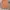 Dior Luxury Casual Cardigan Wanita orange photo 4