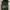 MLB Casual Reworked Hoody Pria green photo 2