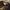 Akademiks Y2K T-shirt Pria brown photo 3