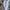 Nike Streetwear Y2K Sneakers Pria tan blue photo 4
