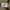 United Arrows Streetwear Casual Casual pants Pria cream photo 8