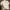 Massimo Dutti Luxury Gorpcore Formal shirt Pria white photo 5
