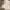 Massimo Dutti Luxury Gorpcore Formal shirt Pria white photo 4
