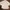 Massimo Dutti Luxury Gorpcore Formal Shirt Pria White