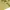 Project M Casual Polo shirt Pria green yellow photo 4