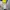 Nike Vintage Sportswear Jersey Pria blue yellow photo 8