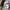 ZARA Streetwear Casual pants Pria tan photo 5