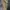 ZARA Streetwear Casual pants Pria tan photo 1