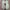 Gucci Luxury Sneakers Pria white photo 5