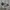 Converse Emo Casual Sneakers Pria white green photo 1
