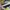 Adidas Casual Sneakers Pria black yellow photo 2